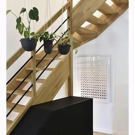 La Maison Rose, Chaleureuse Et Luxueuse Hébergement de vacances Roanne